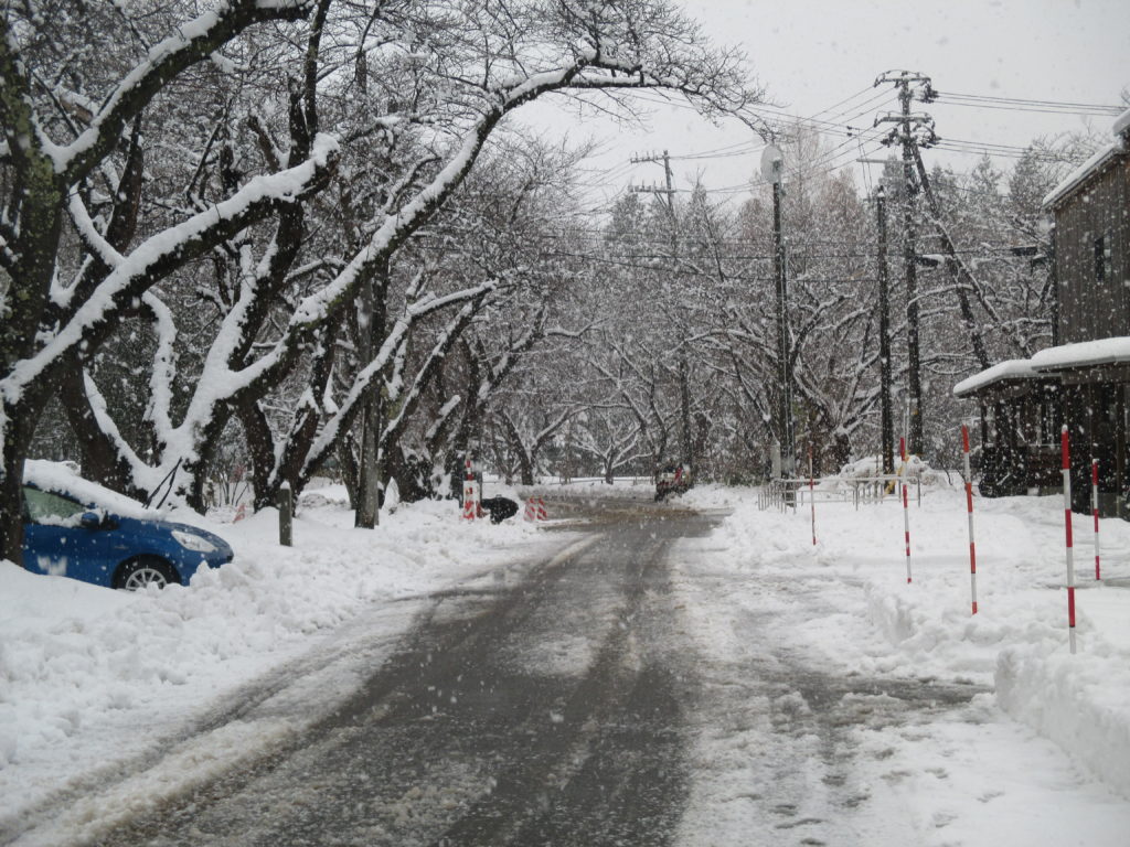 La neige a touché une grande partie du Japon comme ici dans la préfecture d'Akita (© Japon-info)