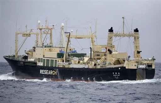 , Deux écologistes retenus à bord d&rsquo;un baleinier japonais libérés