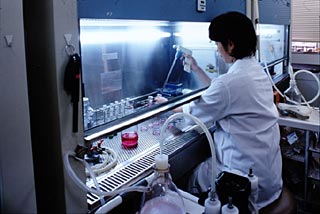 , Le laboratoire Takeda rachète la branche nipponne d&rsquo;Amgen
