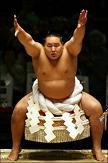 , Scandale dans le monde du sumo au Japon