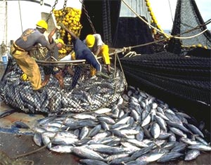 , Le Japon aide ses pêcheurs