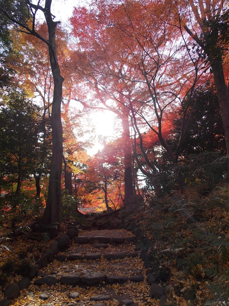 Petit Escalier , Carnet de voyage : L’Automne au Japon