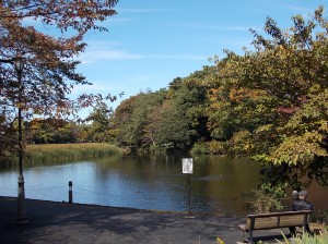 Petite vue du Lac (Parc d'Omiya)