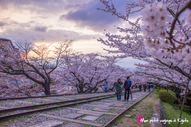 , Mon petit voyage à Kyôto