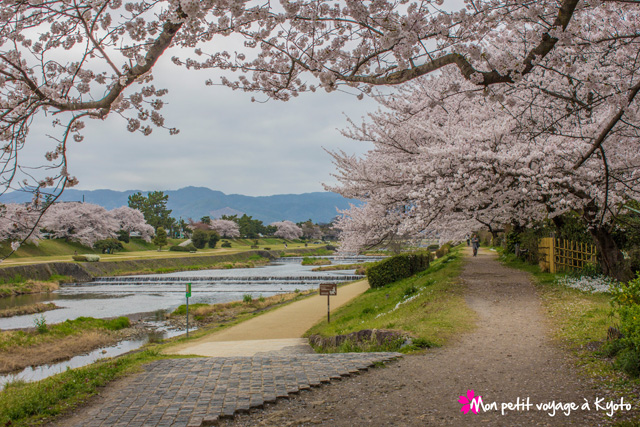 , Mon petit voyage à Kyôto