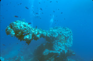 Canon du Fujikawa Maru coulé lors de la bataille des îles Chuuk (© Aquaimages)