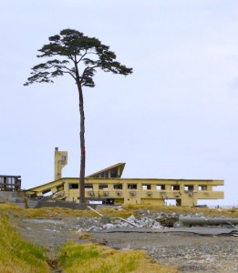 Le seul arbre encore debout à Takata-matsubara dans la ville Rikuzentakata. Ce genre de lieu attire des touristes particuliers. (© Jacob Ehnmark)