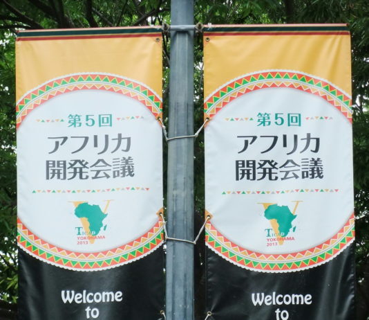 Rencontre : Le Japon et l’Afrique après la TICAD V