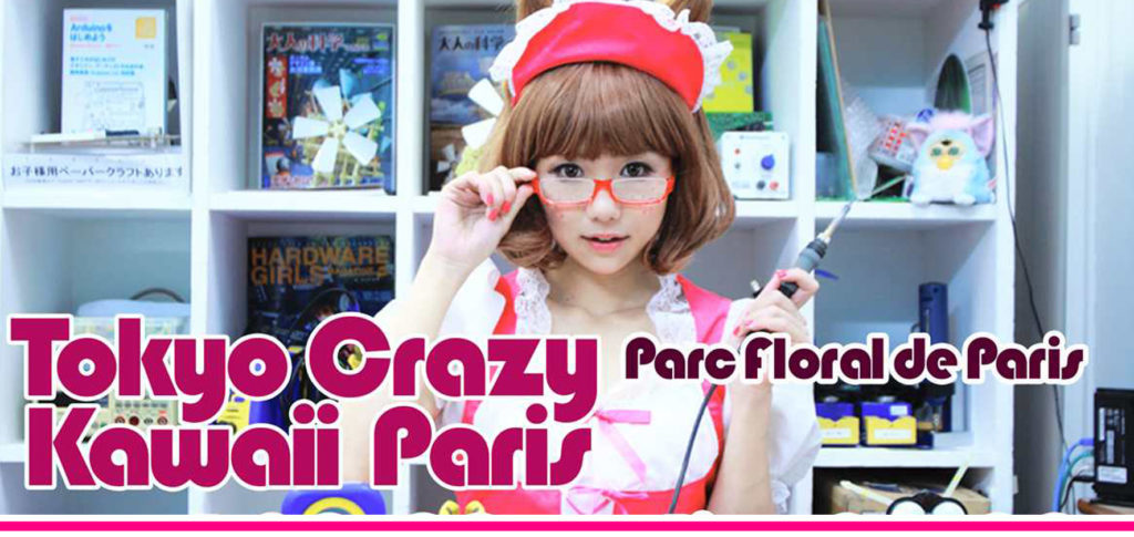 tokyo-crazy-kawai-paris