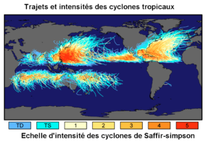 Carte des trajets et des intensités des typhons et des tempêtes (© Robert A. Rohde)