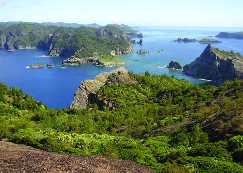 Île de Chichijima de l'archipel d'Ogasawara située non loin de la nouvelle île © Japan Wildlife Research Center - Hideo Maruoka
