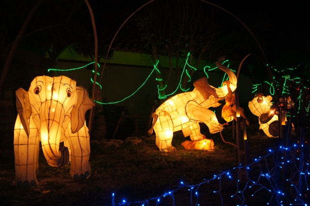 illuminations-okinawa-elephants