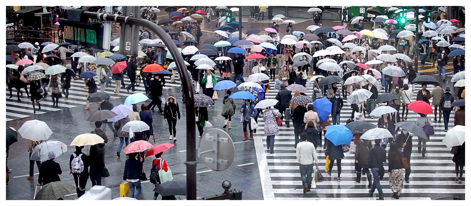 Carrefour de Shibuya sous la pluie, Tokyo, Japon - DR 
