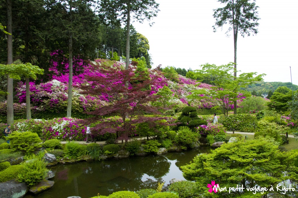 Le jardin du Mimuroto-ji (© Mon petit voyage à Kyôto)