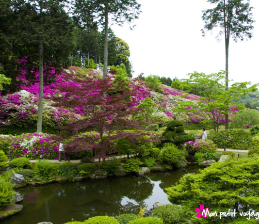 Découvrez le temple Mimuroto-ji en vidéo