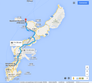 Carte-road-trip-okinawa