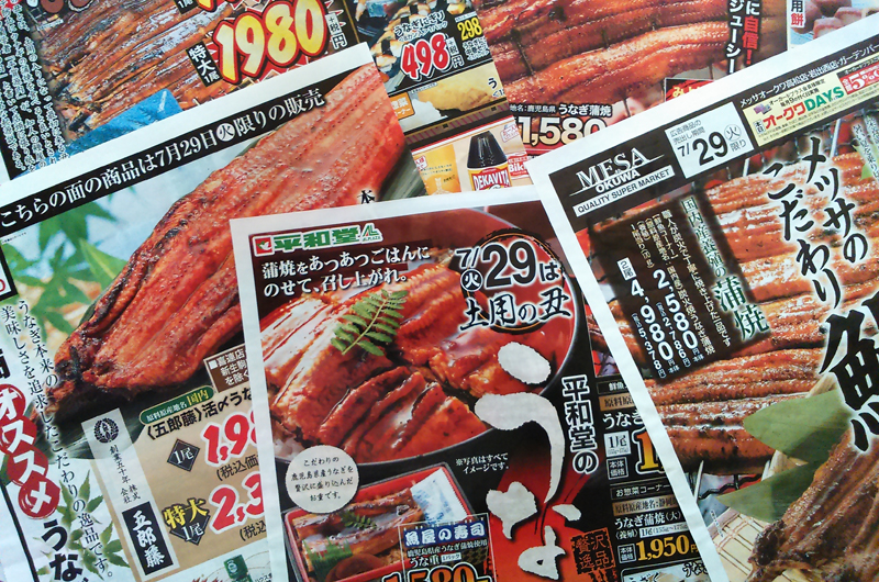 Publicités autour de l'anguille, reçues aujourd'hui, jour de l'anguille, dans la boîte aux lettres. (photo : Jean-François Heimburger)