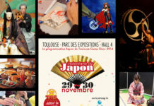 Plongez dans la culture japonaise au Toulouse Game Show