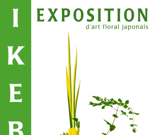 Grande exposition d’Ikebana à Toulouse du 26 au 29 Mars 2015