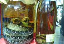 Découvrez les alcools d’Okinawa