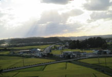 Avez-vous déjà pensé à faire du wwoofing au Japon ?