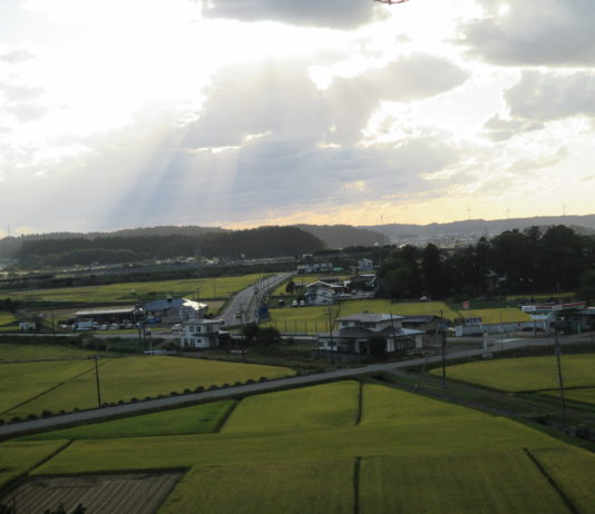Avez-vous déjà pensé à faire du wwoofing au Japon ?