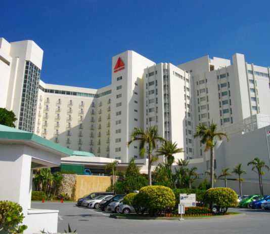 Travailler au Japon ? Une affaire impossible ? Vraiment ?