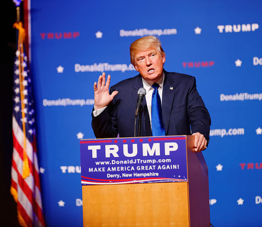 Le Japon dans le collimateur de Trump