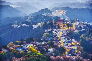 Le Mont Yoshino et ses cerisier