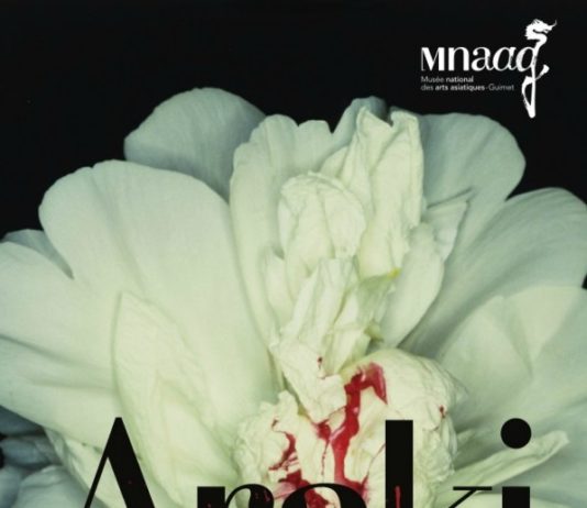 Exposition de photos : Nobuyoshi ARAKI