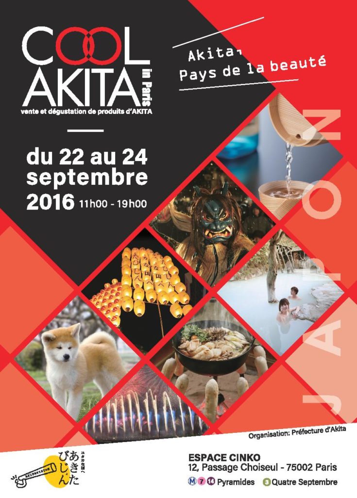 cool_akita_in_paris2016