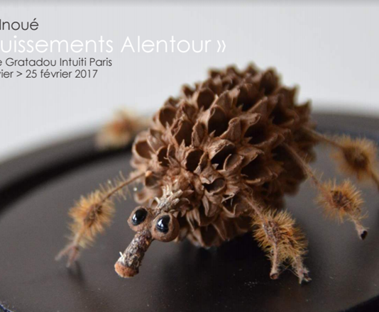 Exposition « Bruissements Alentour » d’Inoue Orie