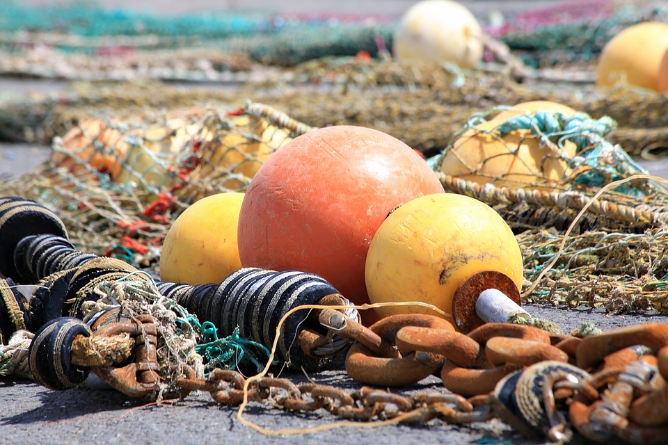 , Des signes d&rsquo;espoir pour les producteurs et pêcheurs japonais