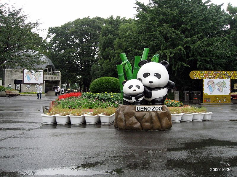 Зоопарк в японии