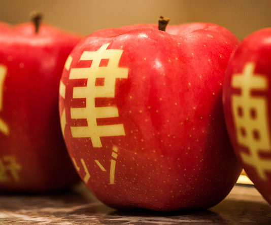 L’insolite au Japon: Top 10 des aliments atypiques au Japon