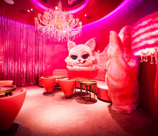 L’insolite au Japon : Le café restaurant Monster Kawaii Cafe