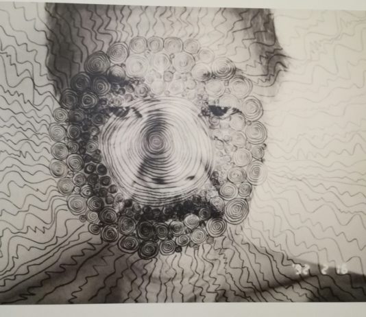 Exposition Masahisa Fukake, Rencontres photographiques d’Arles