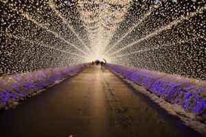 , Le Japon illuminé en hiver