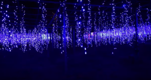 , Le Japon illuminé en hiver