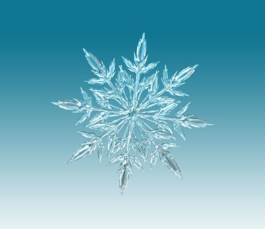 Incroyable découverte de Masaru Emoto ?