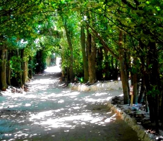 L’insolite au Japon: Le Bise Village