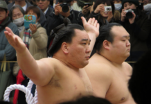 Un yokozuna suspendu après une agression
