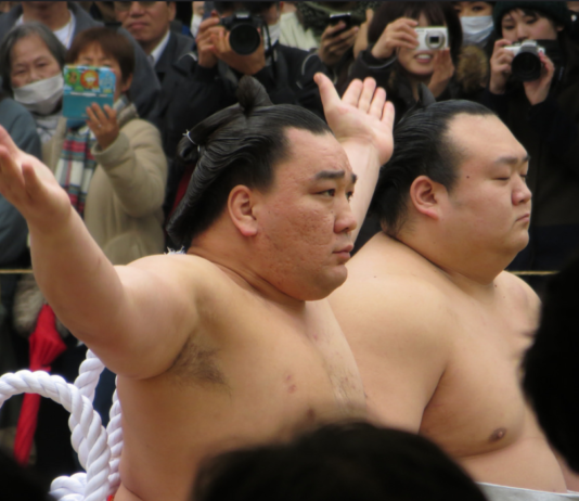 Un yokozuna suspendu après une agression
