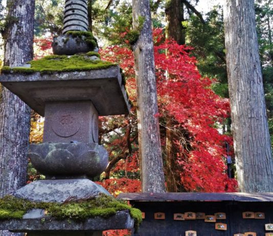 Coline et Sylvain : en route vers de nouvelles aventures au Japon !