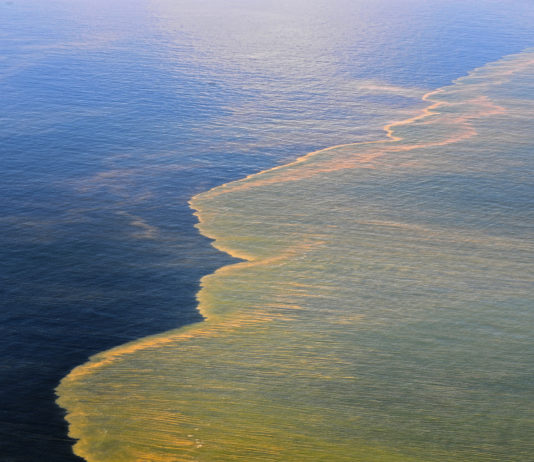 Du pétrole sur les côtes | Le Japon en or aux J.O | Plan anti-tabac