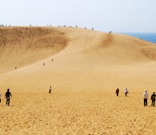 Boom des plus de 75 ans | Prévention d’une éruption du Fuji | Fermeture d’une oasis