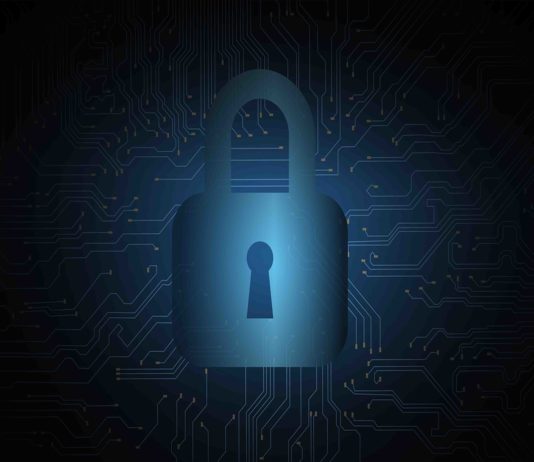 Cybersécurité connectée | Rikako Ikee malade | Sakura : une arrivée précoce