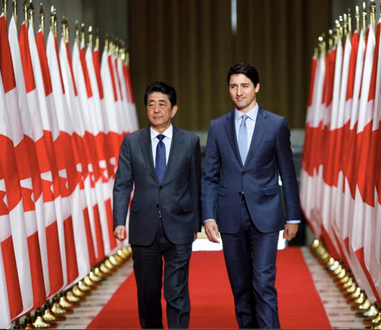Abe rencontre Trump et Trudeau | 25e marche des fiertés | Organes humains sur des cochons