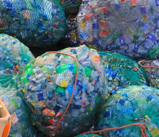 Réduction des déchets plastiques | Réunion Japon – Russie | Cyber patrouilles contre le suicide