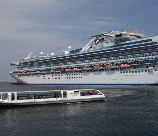 Diamond Princess remis en service | Reprise de la J-League | Masques faits maison